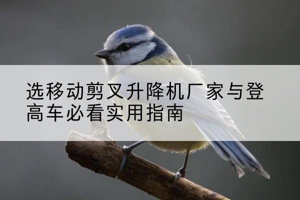 相山电动升降机厂家-选移动剪叉升降机厂家与登高车必看实用指南