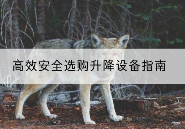 相山升降货梯厂家推荐-*安全选购升降设备指南